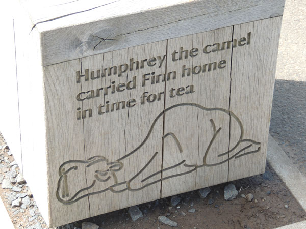 humphrey the camel at the giants causeway