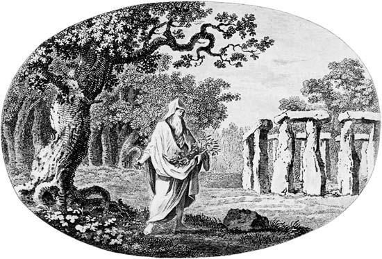 celtic and irish druids