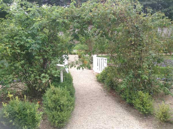 hedging and gardens at colclough