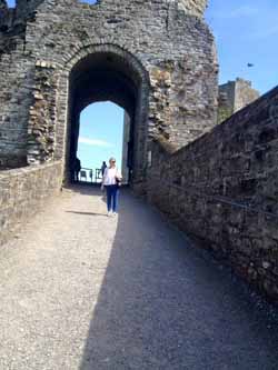 trim castle 