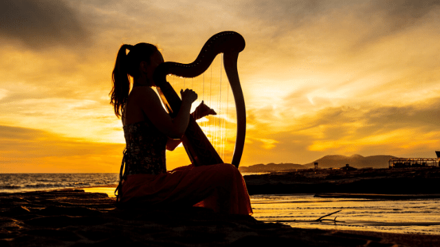 the irish harp