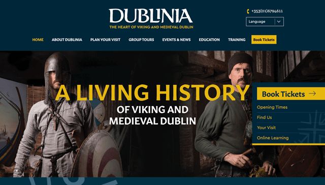Explore Dublinia